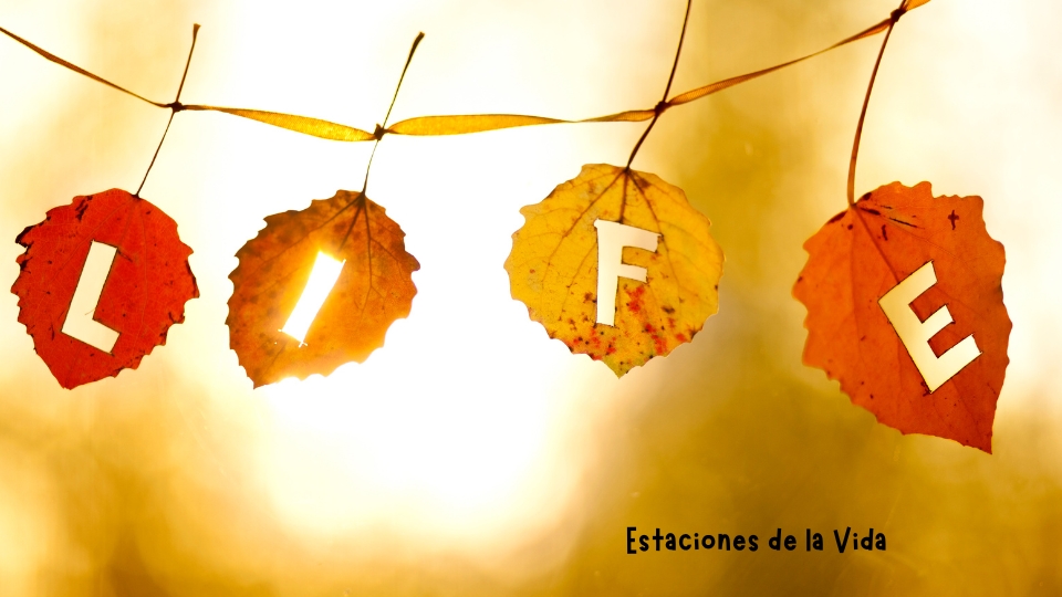 Las etapas de la vida,¿Conoces tus estaciones?